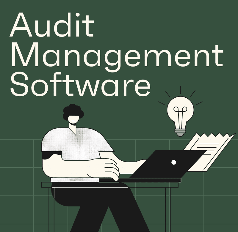 Internal audit management software