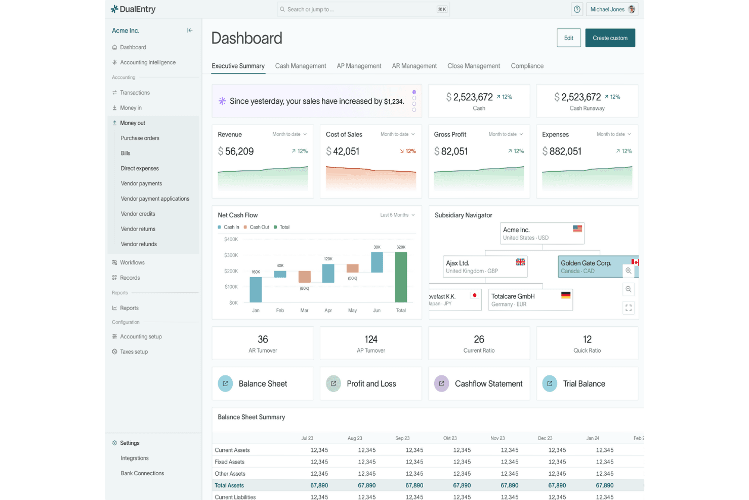 DualEntry accounting dashboard showing revenue, cash flow, and subsidiary navigator.