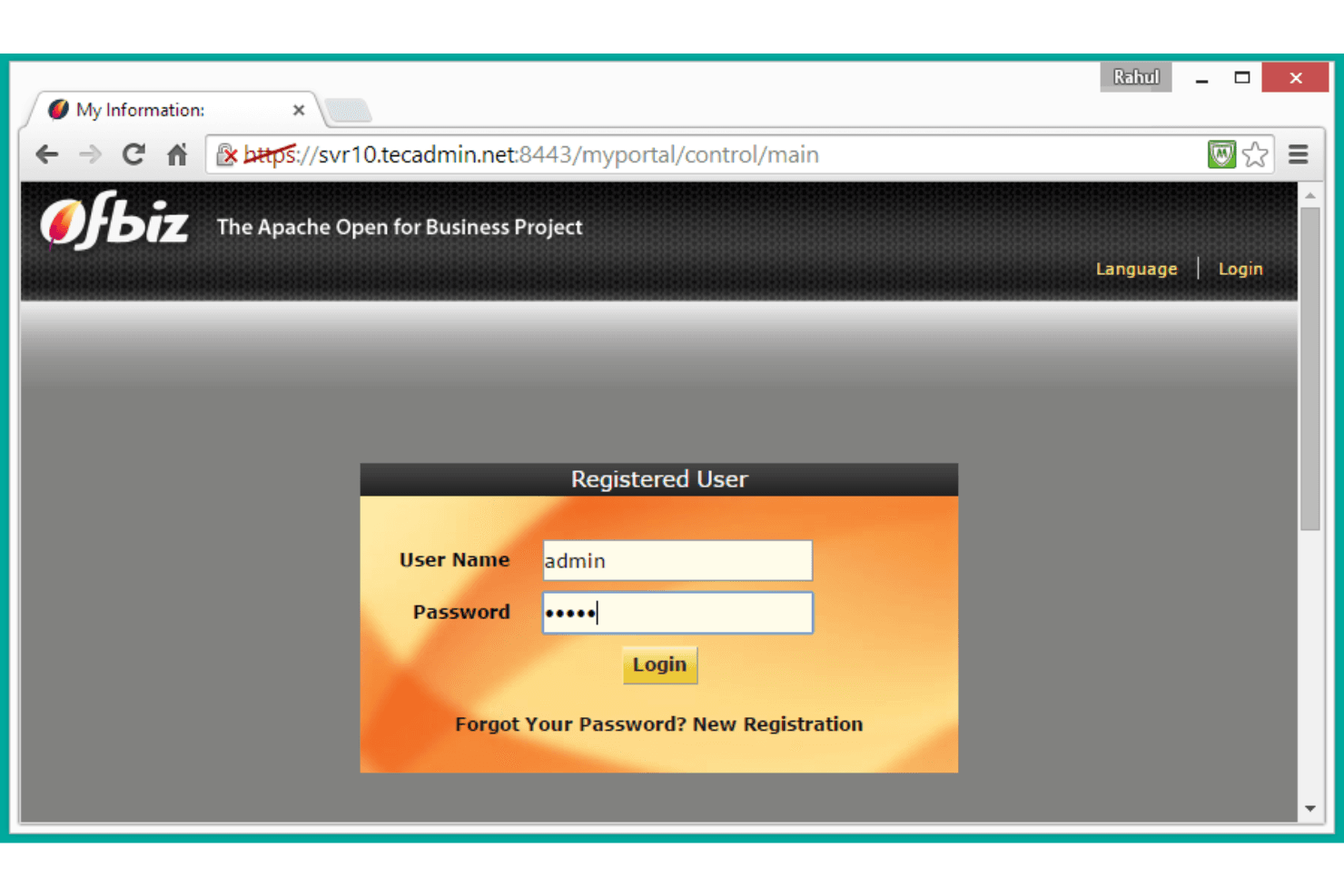 Apache OFBiz screenshot