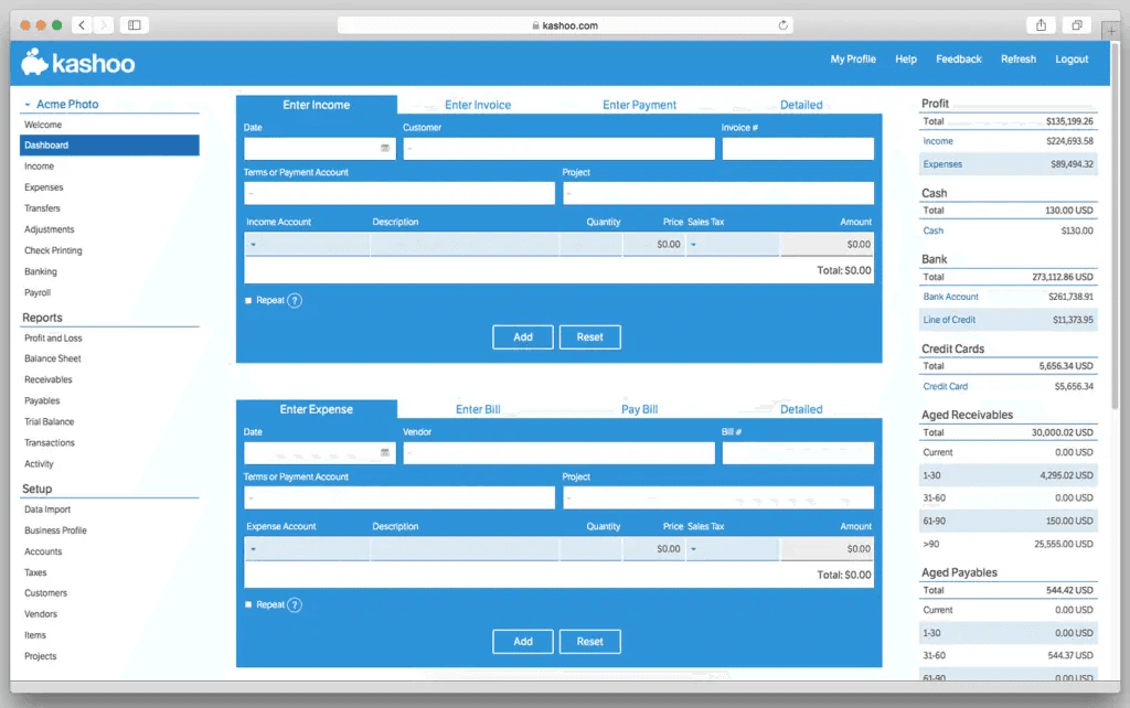 Kashoo screenshot