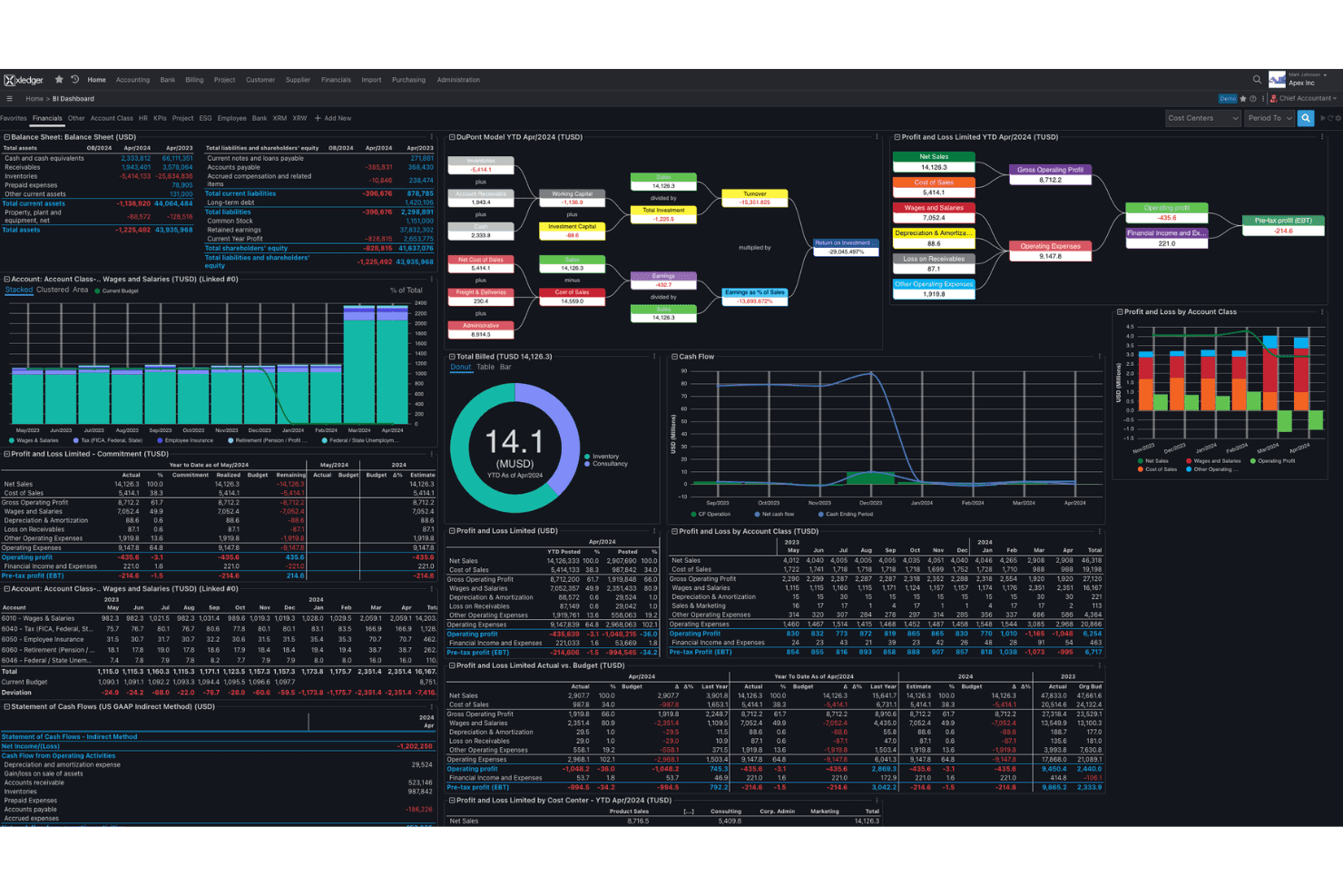 Xledger's BI dashboard centralizes financials, cash flow, and P&L reporting.
