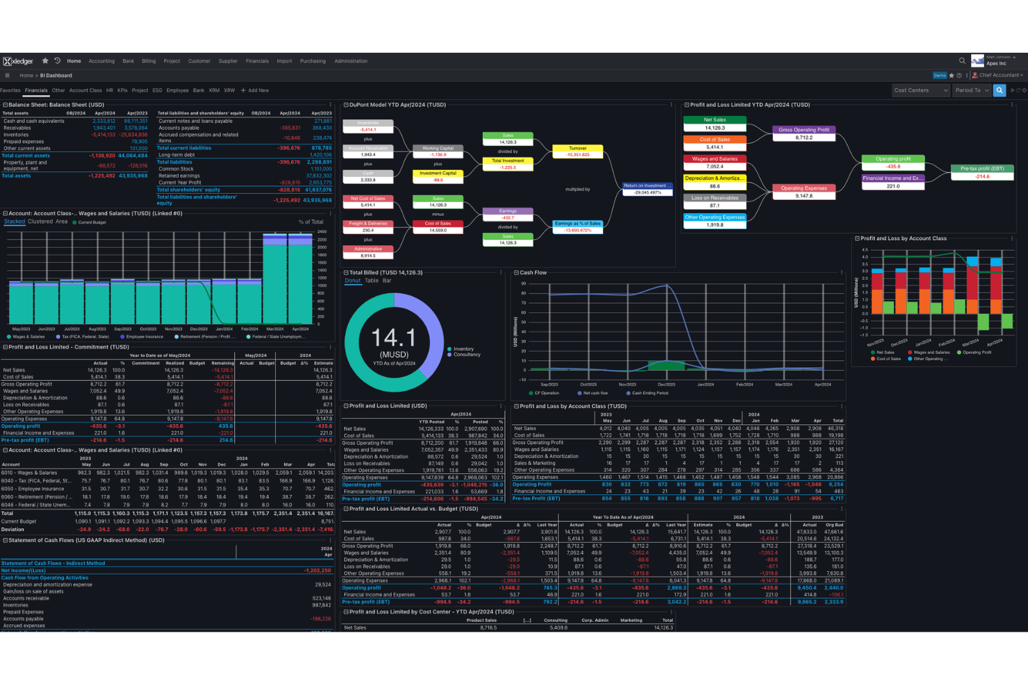 Xledger's BI dashboard centralizes financials, cash flow, and P&amp;L reporting.