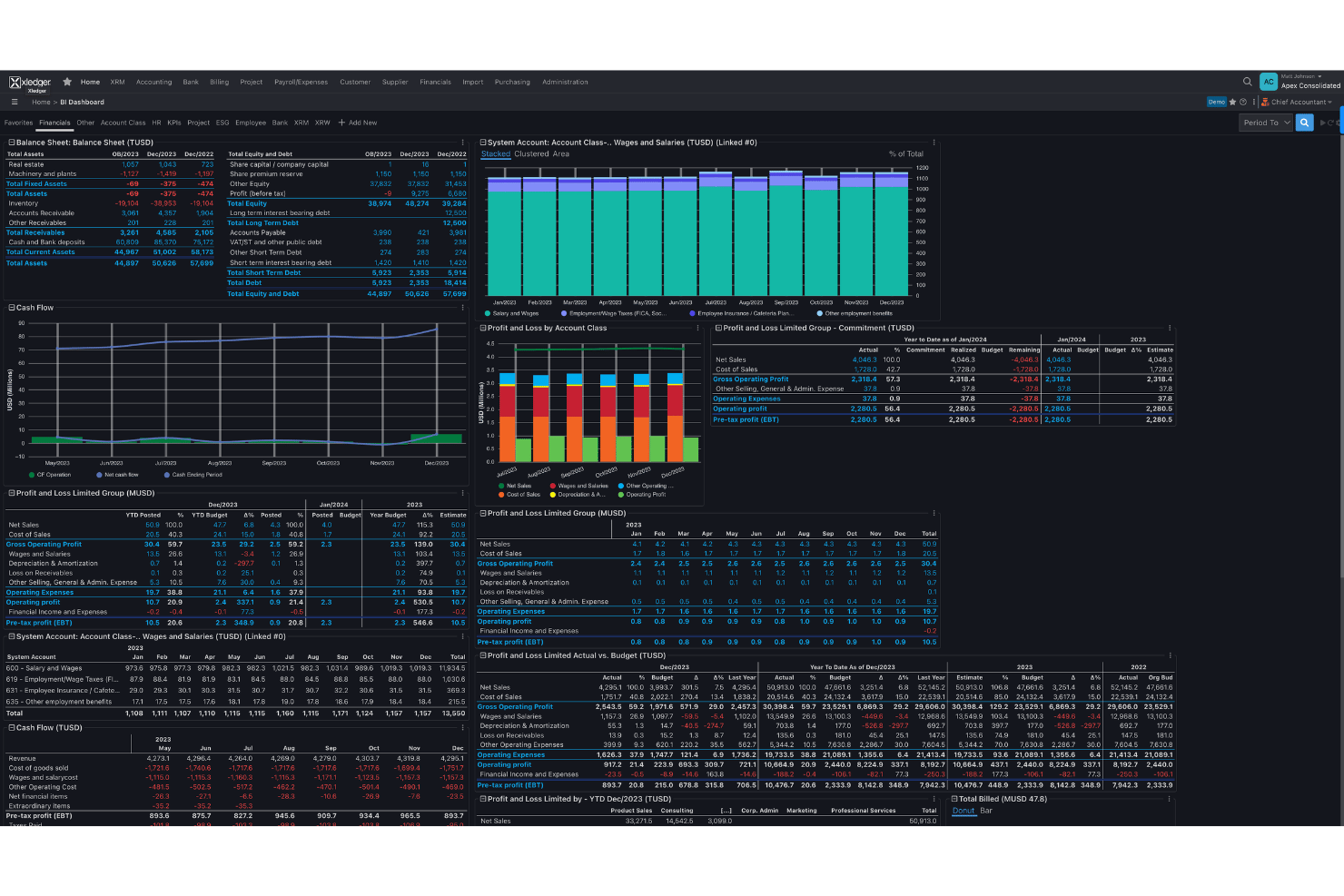 Xledger BI dashboard showing balance sheet, cash flow, and profit and loss charts.