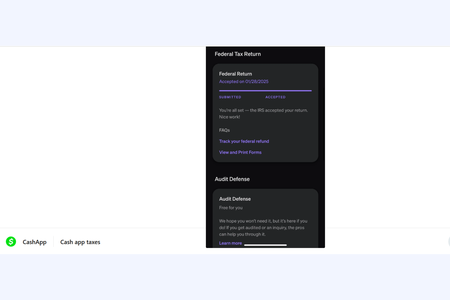 screenshot - Cash App Taxes Review: Pros, Cons, Features, and Pricing