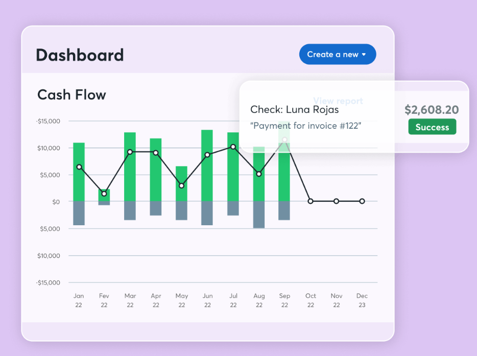 WAVE screenshot - 20 Beste Buchhaltungssoftware für Unternehmen für präzise Finanzunterlagen im Jahr 2026