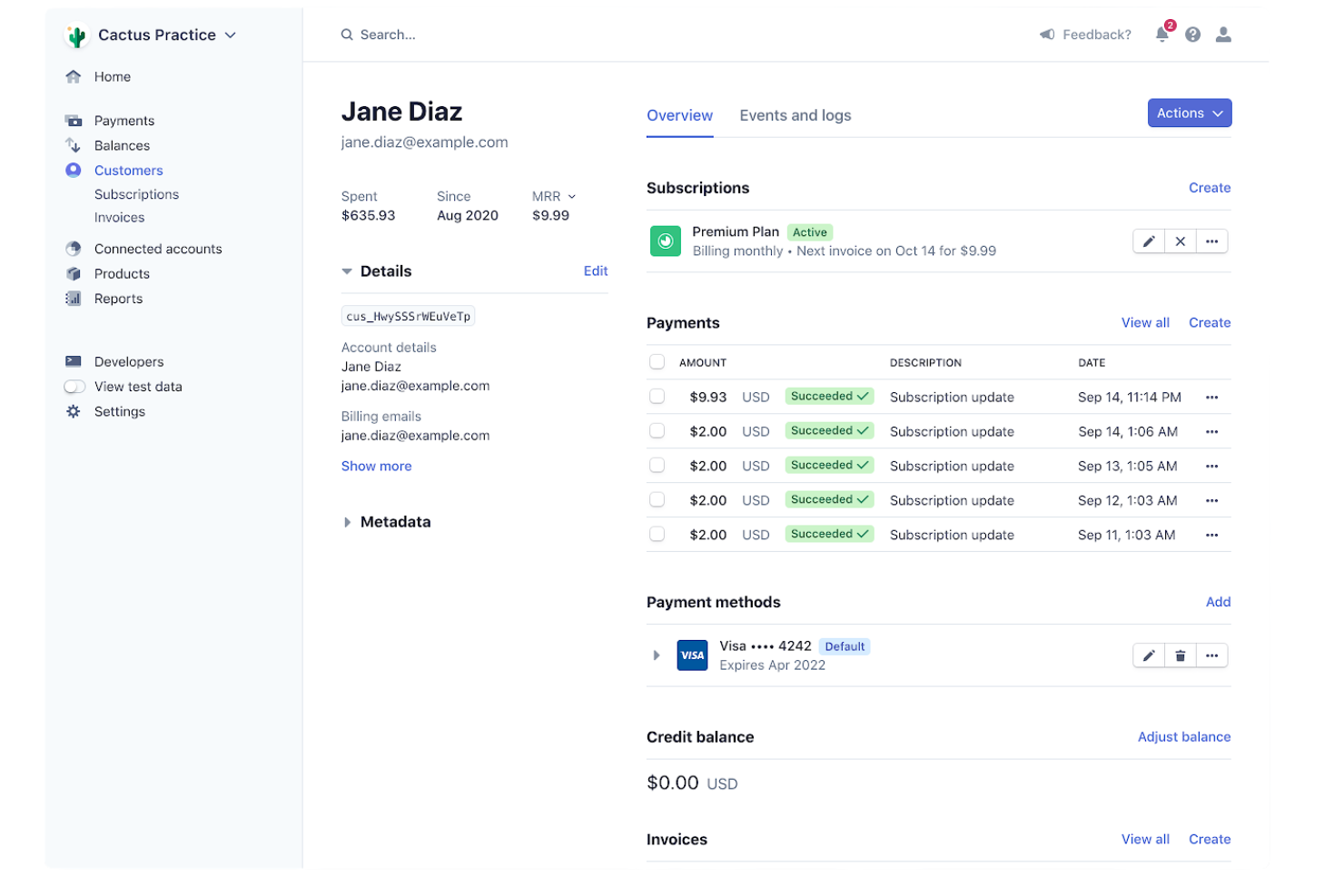 Stripe screenshot - 15 meilleures solutions de paiement pour les petites entreprises examinées en 2026