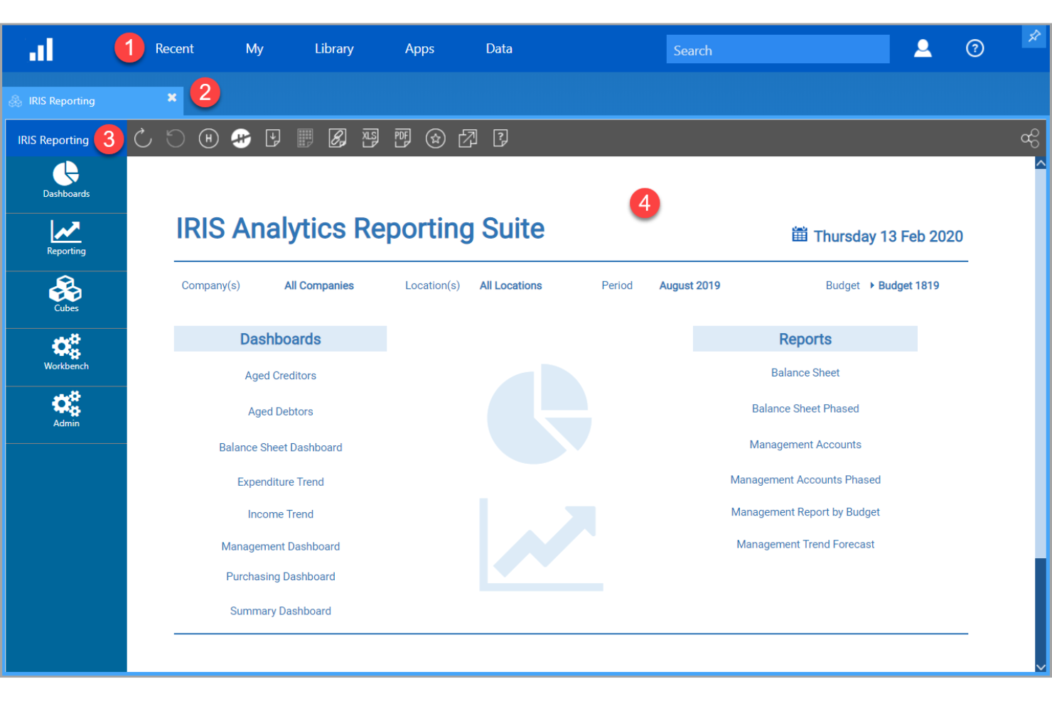 IRIS Star screenshot - 13 meilleurs logiciels CPA examinés en 2026