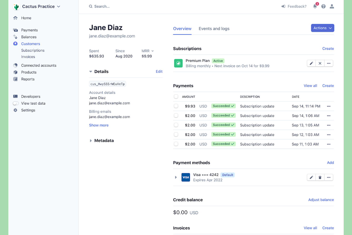 Stripe screenshot - 10 Mejores Software de Facturación para Contratistas Analizados en 2026