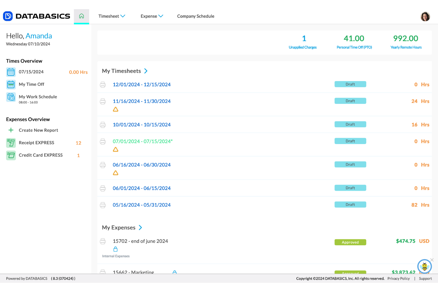 DATABASICS screenshot - 10 software di gestione delle spese per organizzazioni non profit nel 2026