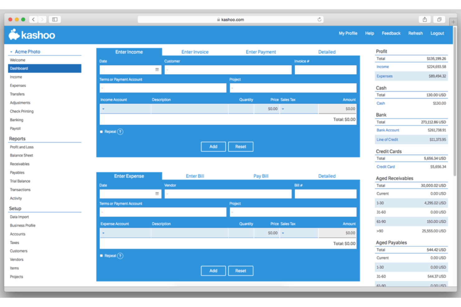 Kashoo screenshot - I 10 migliori software di contabilità per commercialisti nel 2026