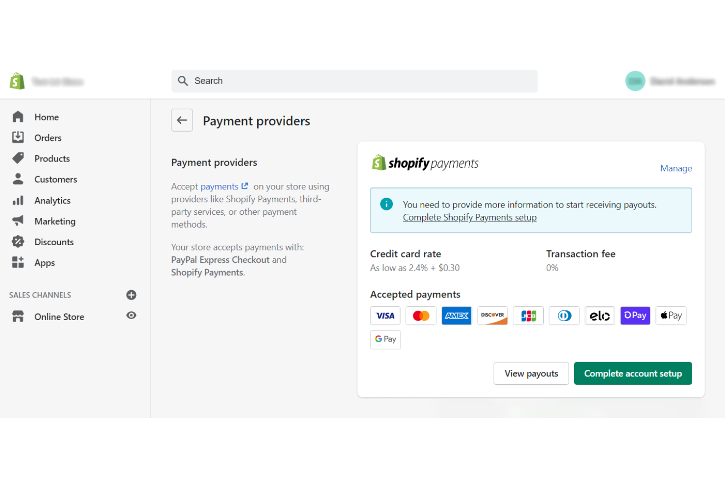 Shopify Payments screenshot - 10 beste digitale betaaloplossingen in 2026