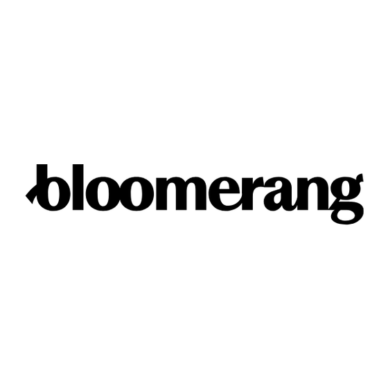 Bloomerang Fundraising