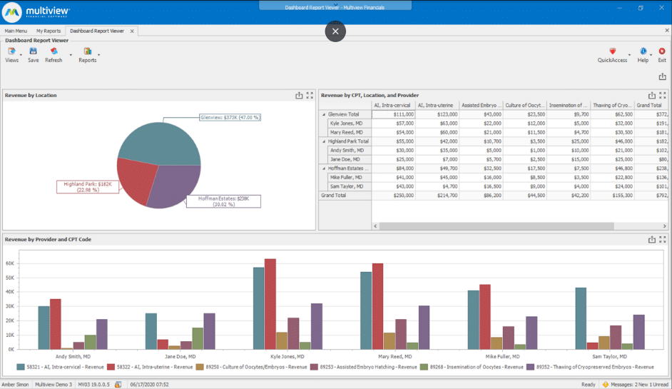 Multiview ERP Software In-Depth Review 2024 - The CFO Club