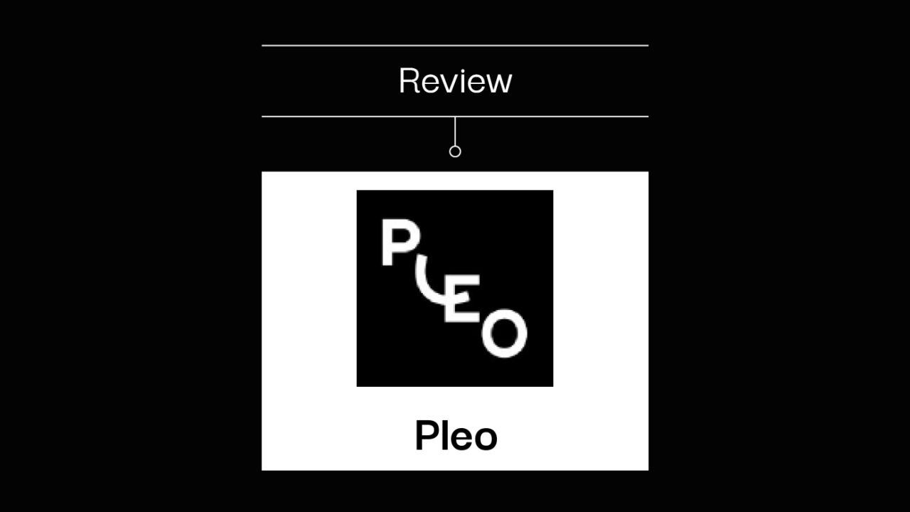 Pleo Product Review 41355