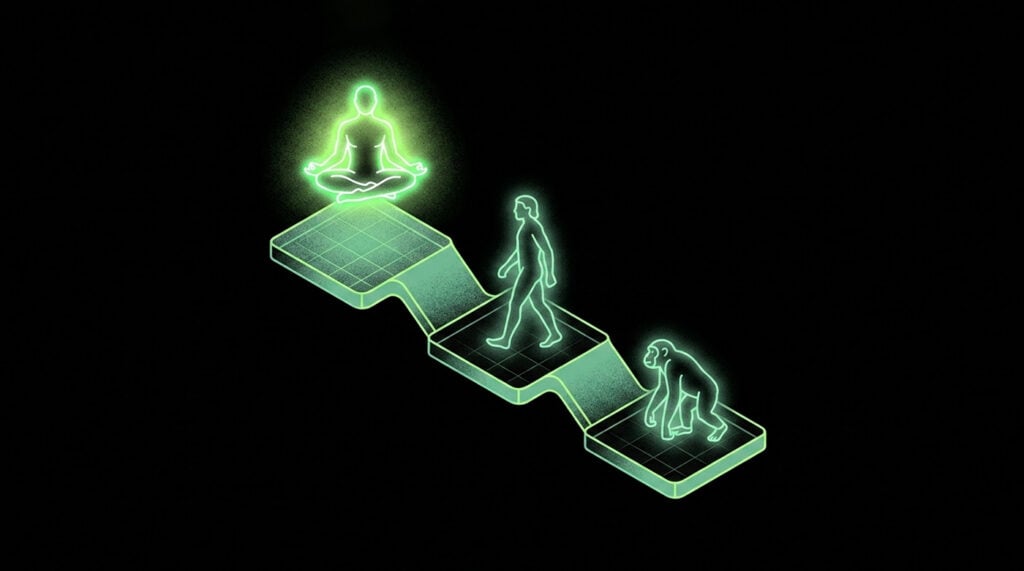 Accelerating evolution